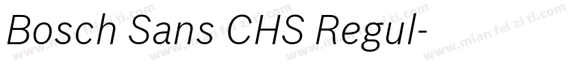 Bosch Sans CHS Regul字体转换